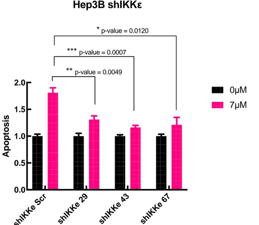 Figure  3.13:  IKBKE  depleted  cells  do  not  go  through  apoptosis  upon  Sorafenib  treatment