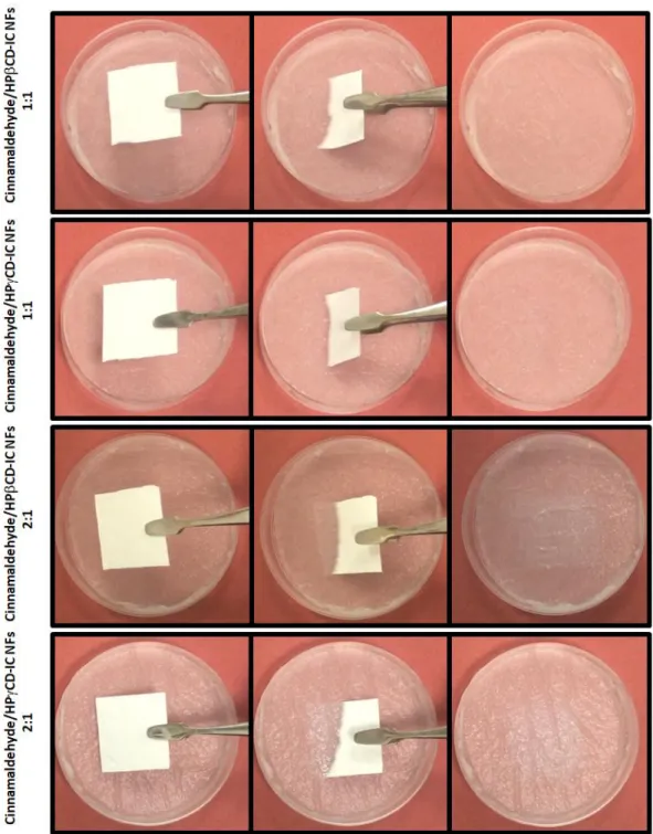 Figure  36.  Representation  of  dissolution  behavior  of  cinnamaldehyde/CD-IC  NF  mats when contacted to water soaked absorbent paper