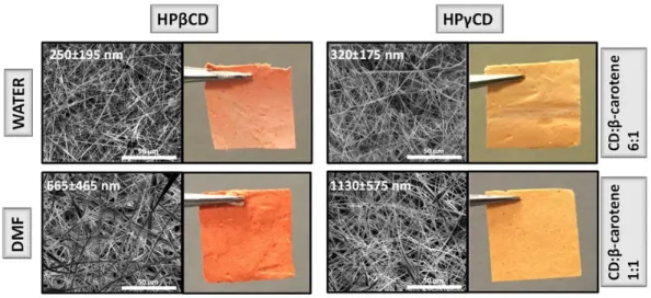 Figure 40. The photographs and SEM images of optimized β-carotene /CD-IC NFs. 