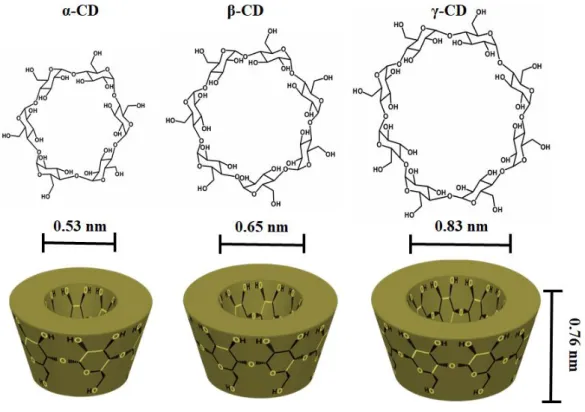 Figure 2. Chemical structure and schematic view of α-CD, β-CD and γ-CD. 