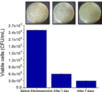 Fig. 3. Viability of Lysinibacillus sp. NOSK as number of colony-forming units (CFU) in CD solution and bacteria/CD-F at 4 ◦ C and different storage times (1 day to 7 days).