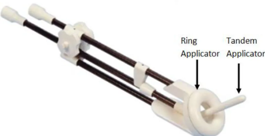 Figure  2.2:  The  Nucletron  (Veenendaal,  Netherlands)  CT-MR  ring  applicator,  which  is  developed  for  the  gynecologic  brachytherapy  procedures