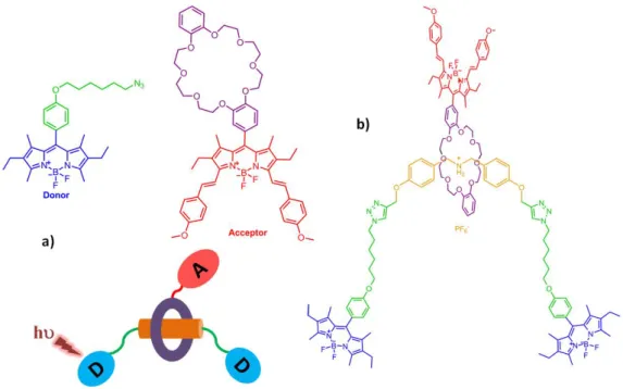 Figure 62: (a)Schematic representation of BODIPY-based [2]rotaxane showing that a macrocycle  (purple) was mechanically interlocked through a linker (orange), terminated by two BODIPY end  groups (blue)