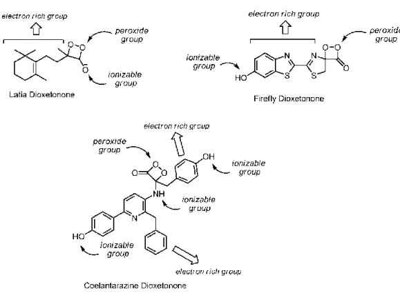 Figure 10: Peroxide-containing bioluminescent and chemiluminescent substrates. 