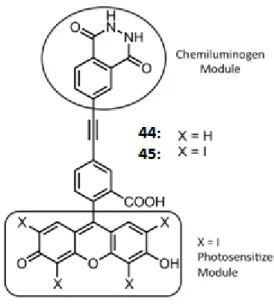 Figure 38: The structure of the immediate precursor 44 and the erythrosine-luminol conjugate 45,  which was synthesized and characterized in this study, as a model for intramolecular chemical 