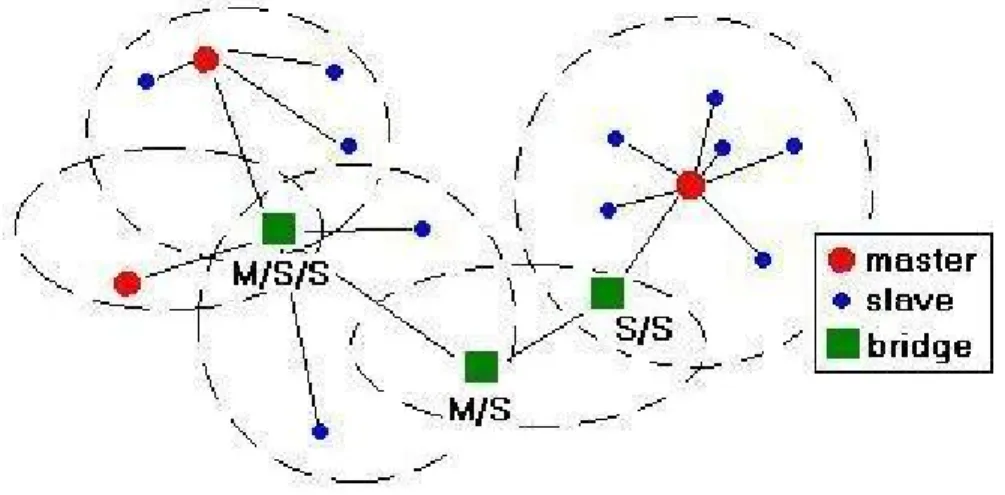 Figure 2.3: Topology of a scatternet where bridge nodes have undertaken M/S,  S/S and M/S/S roles 