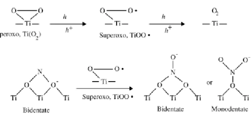 Figure 22. A possible mechanism of NO oxidation on titania (Copyright notice © Elsevier, 2017  [57])