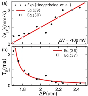 FIG. 2. (a) Average polymer velocity v p  and (b) translocation time τ p = (L m + L p )/ v p  versus pressure