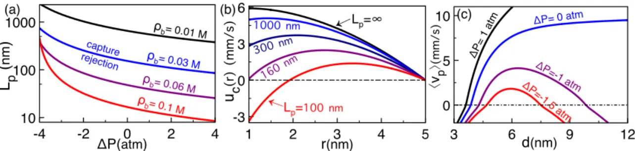 FIG. 4. (a) Critical polymer length (46) against the pressure P at the voltage V = 100 mV