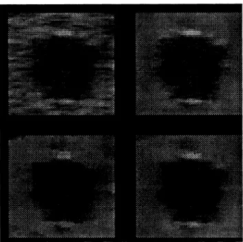 Fig. 4: A section of the image enlarged by three times using zero-order interpolation
