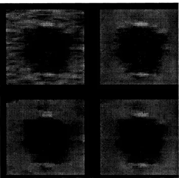 Fig. 4: A section of the image enlarged by three times using zero-order interpolation