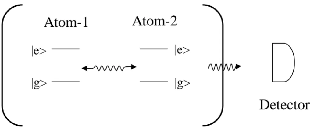 Figure 1.1: Two two-level atoms in a single mode leaky cavity, proposed in Ref.[4]