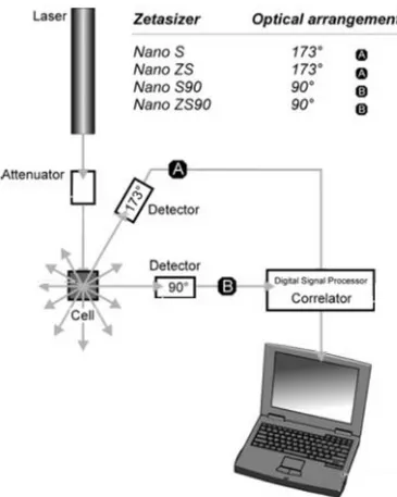 Figure 1.2.7.1. Components of Zetasizer Nano series for DLS measurements [6] 