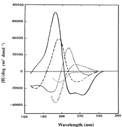 Figure 1.4: Circular dichroism patterns for peptide secondary structures. Solid line, α-helix; long dashed line, anti-parallel β-sheet; dotted line, type I β-turn;