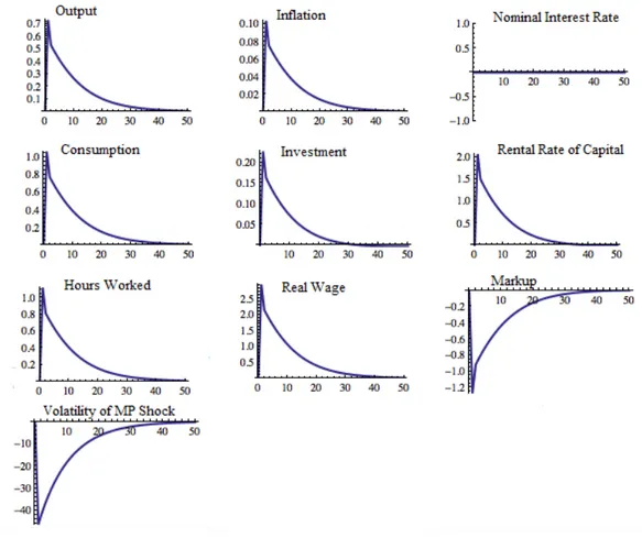 Figure 2.5: The Impulse Responses of the Closed Economy Model to a Negative MP Volatility Shock