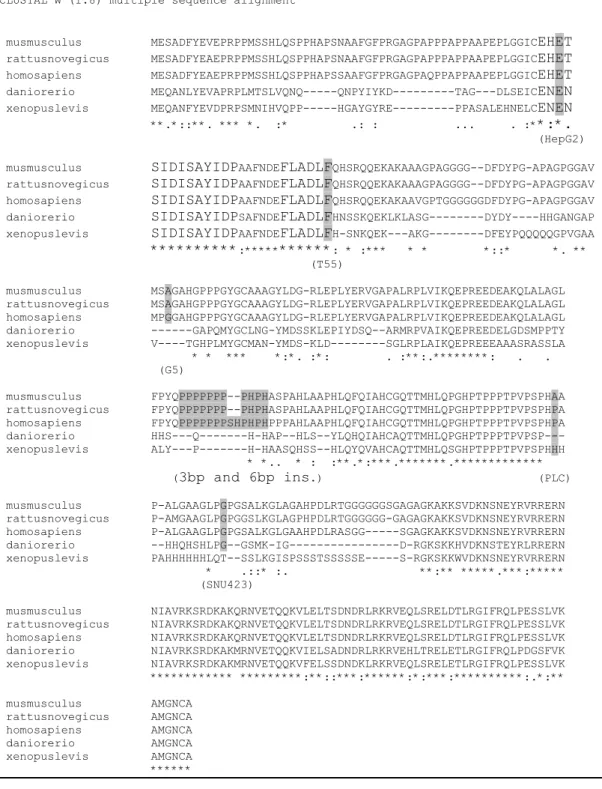 Figure 11: Sequence alignment of Mus musculus, Rattus novergicus, Homo sapiens,  Danio rerio and Xenopus levis C/EBPα proteins and the location of alterations  found