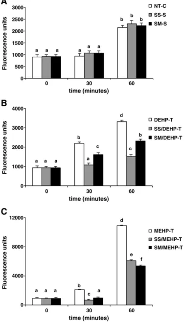 Fig. 5 shows the results of the alkaline Comet assay performed on MA-10 cells exposed to an IC 50 dose of DEHP (3 mM) or MEHP (3 μM) in the presence or absence of Se, with the illustrations of the examples of comet images.