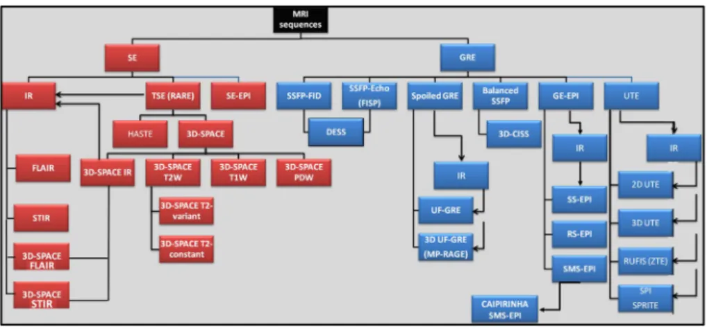 Fig. 1   Taxonomy of MRI sequences, and place of the 3D-SPACE  technique.  SE spin-echo, GRE gradient-echo, IR inversion-recovery,  TSE turbo spin-echo, EPI echo-planar imaging, HASTE half-Fourier  acquisition single-shot TSE, FLAIR fluid attenuated IR (lo
