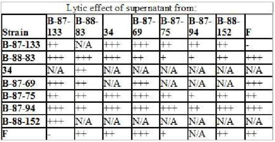 Table 3.1: Summary of plaque assay results. Lytic effects were measured by diameters of the clear zones produced on agar plates: +,&lt; 15mm; ++, 15 to 18mm; +++,&gt; 18mm; N/A, not available; -, no plaque formation.