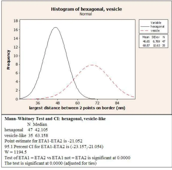 Figure 3.3: Size variation of hexagonal and vesicle-like particles. Histogram was plotted on Minitab14.Sizes of two particles were found to be significantly different.