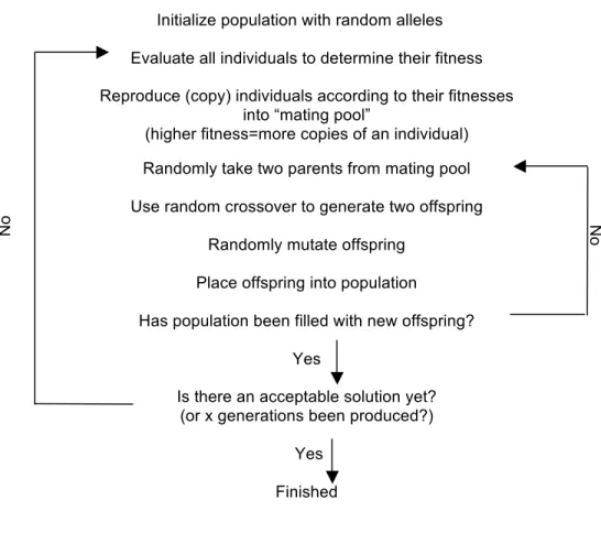 Figure 3.6: The simple genetic algorithm (Bentley, Corne, 2002, p.26) 