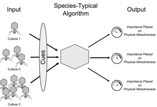Figure 1. Species-typical mechanisms can lead to cross-cultural differences in psychology