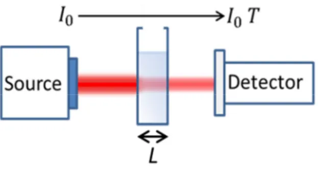 Figure 2.5. Absorption measurement. The transmitted light passing through the sample without being absorbed is collected by a detector.