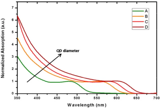 Figure 2.6. Absorbance measurements of the synthesized QDs.