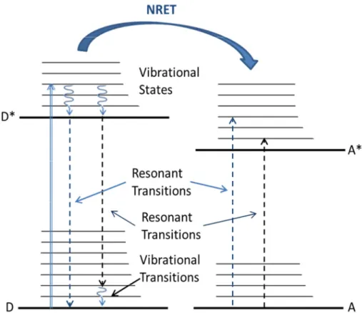 Figure 3.1. Principle operation of NRET for organic donor (D) and acceptor (A) pair. The blue straight arrow denotes the excitation of donor from its ground state