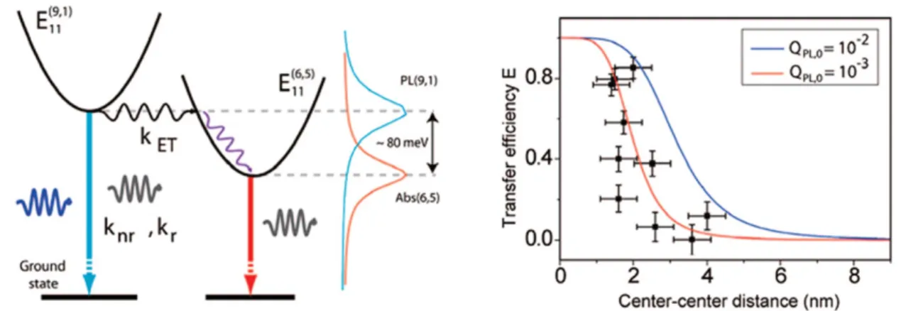 Figure 8 Exciton transfer via NRET in the SWCNT bundles. Similar to NRET in QD assemblies, NRET can occur in the CNT bundle from a larger-bandgap CNT to a smaller-bandgap CNT