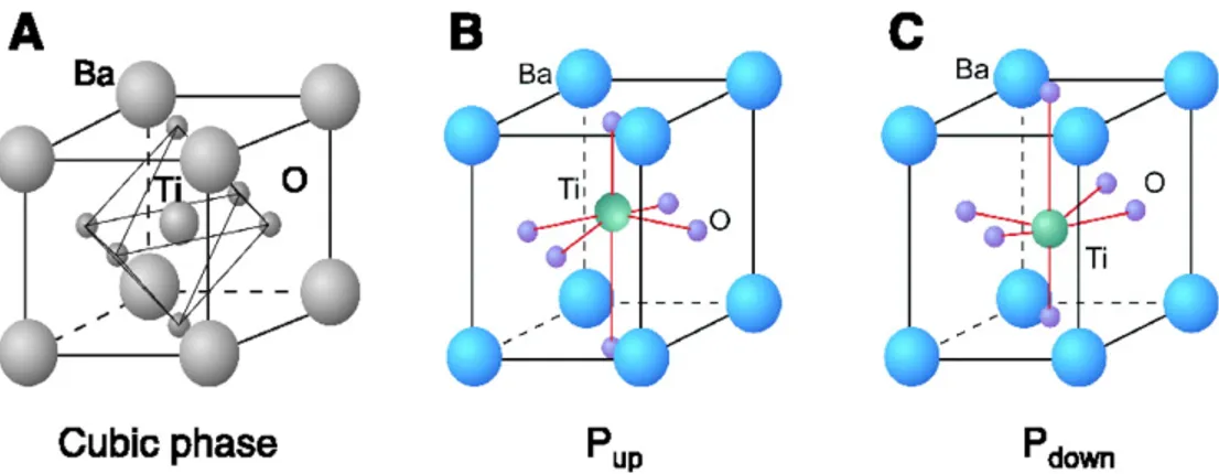 Figure 2.4: The crystal lattice structure of Barium Titanate (a) cubic phase at high temperatures (b) tetragonal phase at room temperature with up polarization vector (c) tetragonal phase at room temperature with down polarization vector