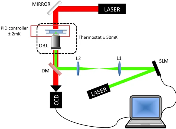 Figure 3.2: Schematic representation of holographic optical tweezers setup. First order reflected beam is selected via 1:1 telescope with lenses (L1 and L2) and coupled inside the objective with the help of dichroic mirror(DM).
