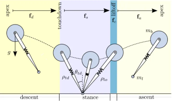 Fig. 2. SLIP locomotion phases (shaded regions) and transition events (boundaries).