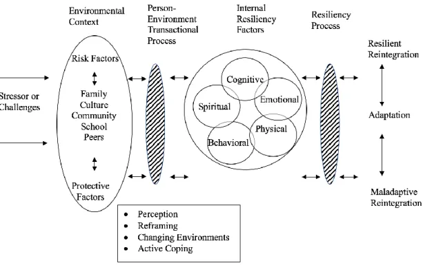 Figure 3.The resilience framework of Kumpfer (1999) 