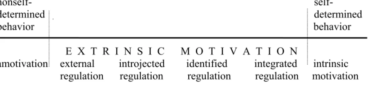 Figure 1: The taxonomy of types of motivation