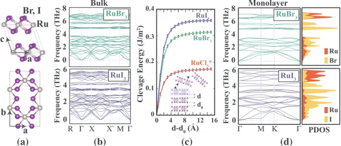 Fig. 2. Di ﬀerent spin conﬁgurations of the RuX 3 structures: (a) FM ordered, (b) AFM-Neél ordered, (c) AFM-Zigzag ordered and (d) AFM-stripy ordered.