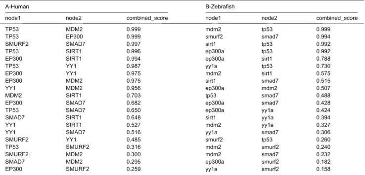 Table 2. Interaction scores of proteins of interest in (A) Human and (B) Zebraﬁsh. Provided from STRING database