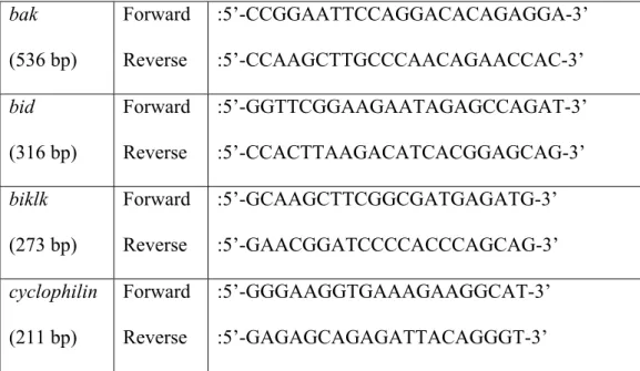 Table 2.1. The oligonucleotide sequences used in clonings.