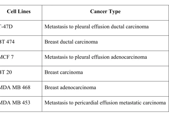 Table 3.1 Human Breast Cancer Cell Lines Used in This Study 