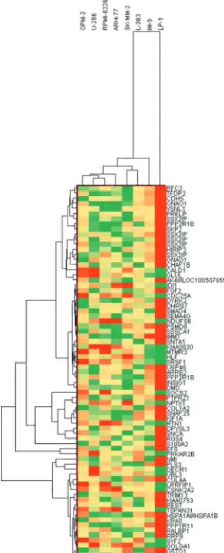 Figure  1.  IC50  values  for  myeloma  cell  lines.  As  can  be  seen,  the most resistant cell line to bortezomib is IM-9, while OPM-2  presents the most sensitive profile.