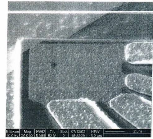 Figure 2.6.1.  SEM image before the Bi hall probe was milled.