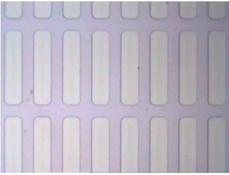 Figure 3.3: NiFe grating.The rectangles of 5 µm x 20µm are covered with NiFe.