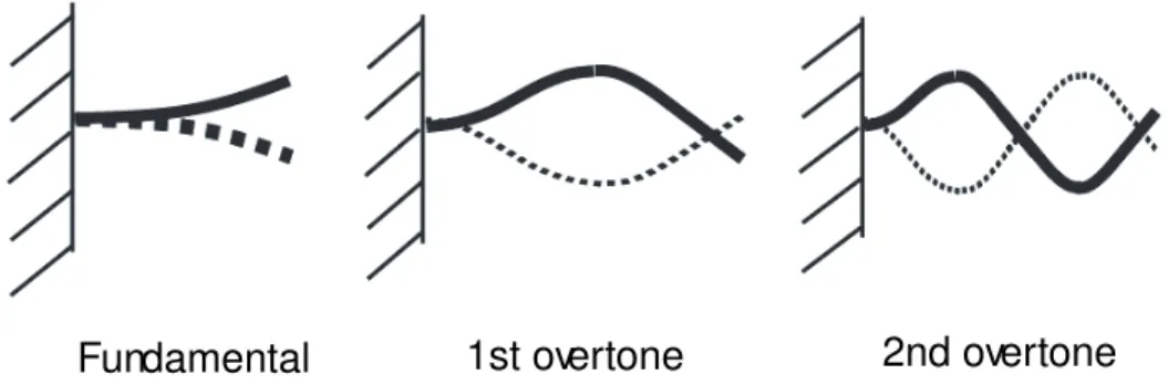 Figure 2.2: Schematics of the fundamental vibration and its rst two overtones of a exural cantilever beam.