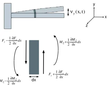 Figure 2.5: The exural behavior of a straight cantilever beam
