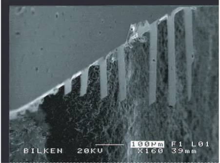 Figure 2.7: The fabricated silicon nitride cantilevers