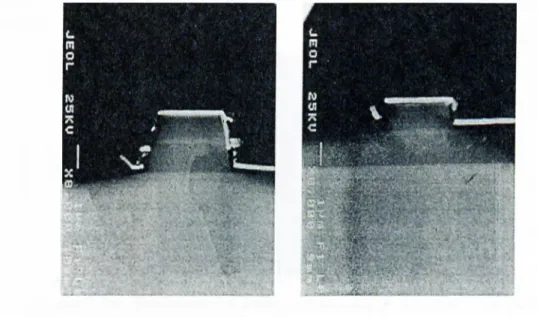 Figure  3.15:  Dry  etched  mesas  for  the  ring  lasers