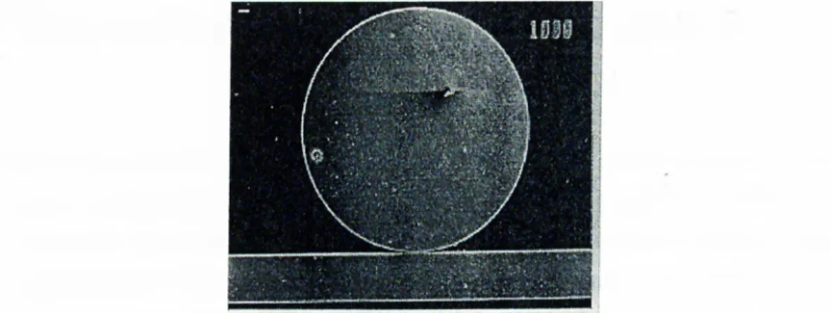 Figure  3.16  shows  the  top  view  of such  a  ring  laser  with  a  1000/im  diameter,  which  was  fabricated in the clean rooms of the Electronics Department of Glasgow  University