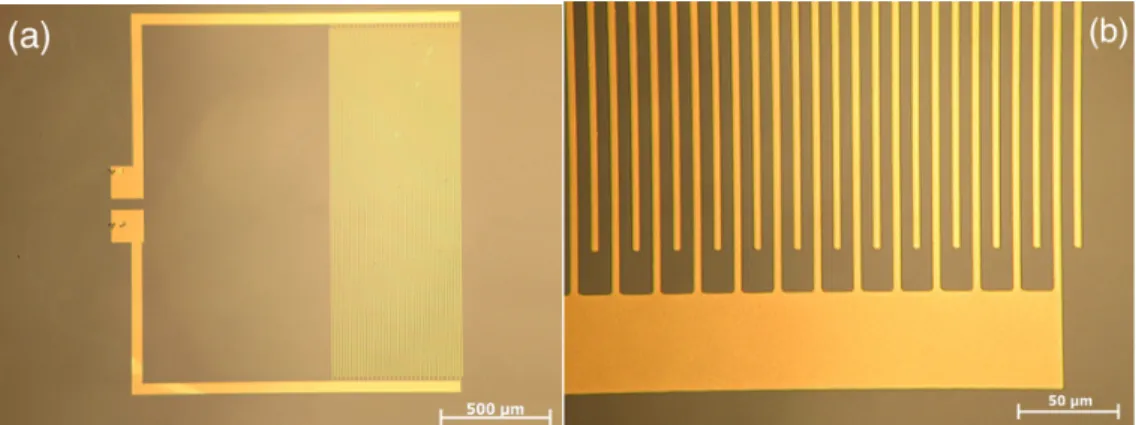 Figure  3.7:  Optical  microscope  images  of  the  final  device  showing  gold  electrodes  over  ZnO