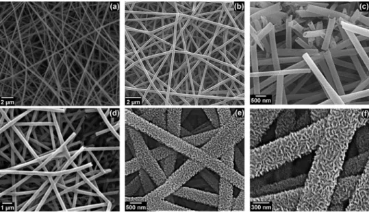 FIG. 2. (a) Representative SEM images of electrospun nylon 6,6 nanofibrous template having an average fiber diameter of