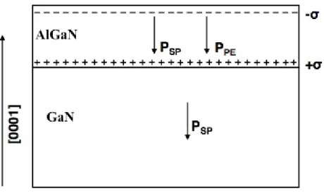 Figure 2.2: Polarization vectors and corresponding induced charge densities on AlGaN/GaN heterostructure [44]